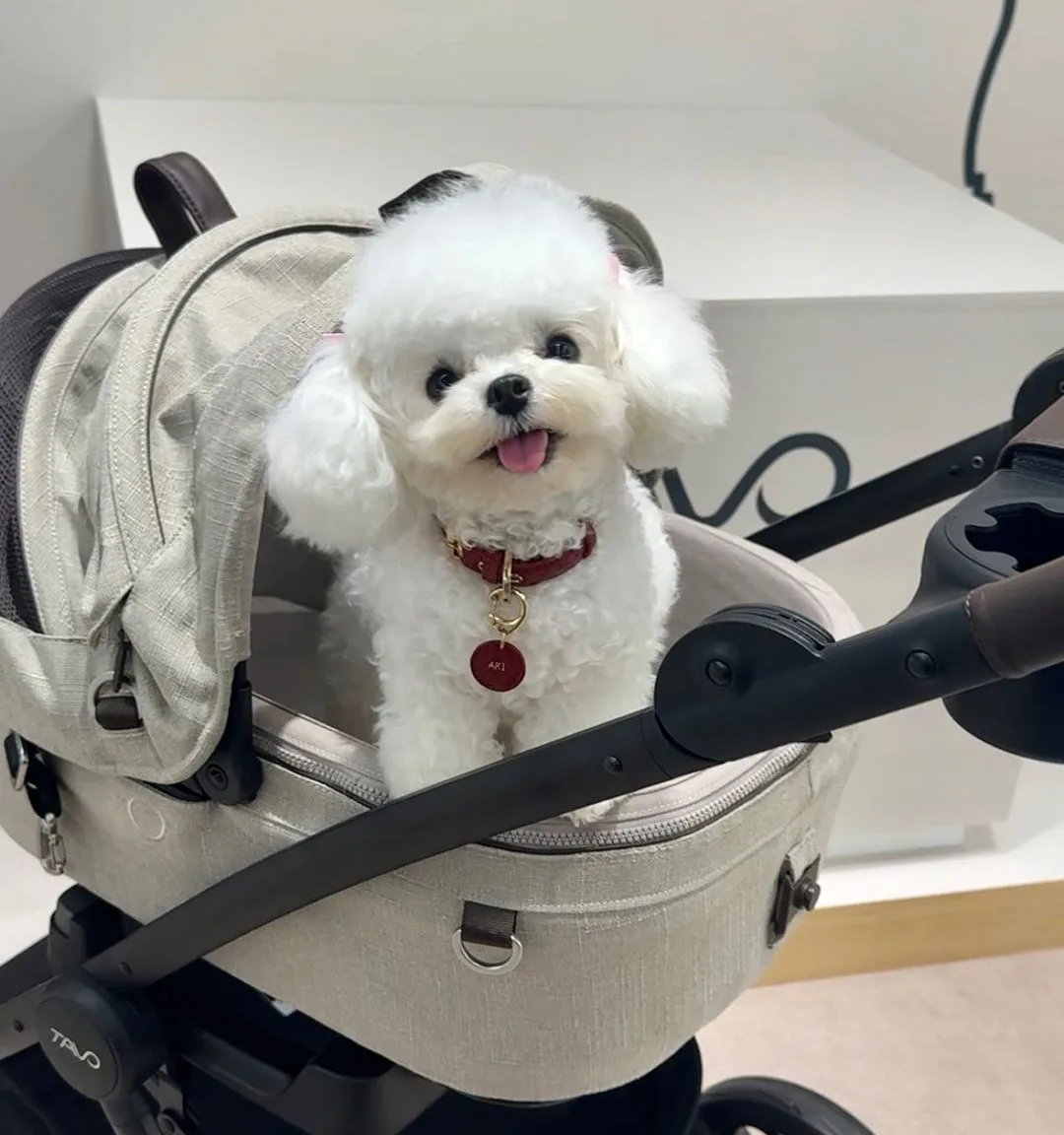 Cochecito para Perros Pequeños