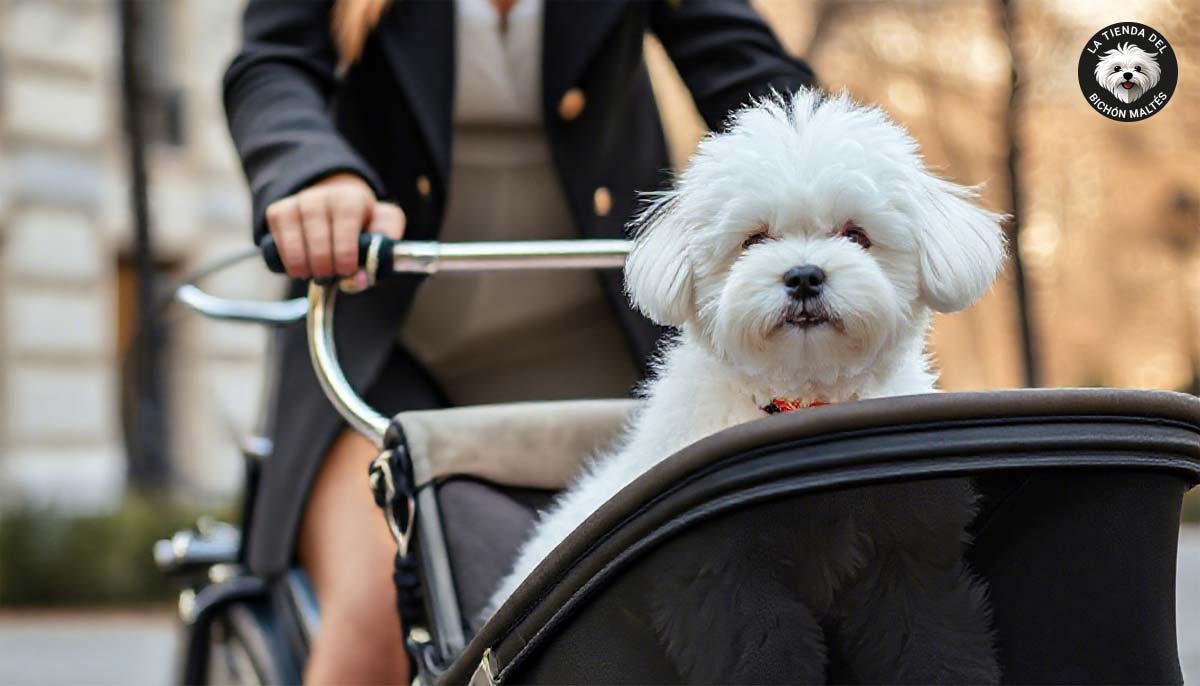 Cochecito para Perros Pequeños: La Guía Definitiva para Elegir el Mejor