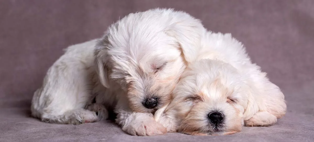 Nuestros Principios y Valores