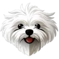 logo para bichon maltes 200x200px