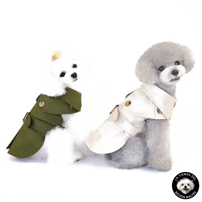 Dos pequeños caniches visten elegantes gabardinas, uno en verde oliva y el otro en beige. Están uno al lado del otro sobre un fondo completamente blanco. En la esquina inferior derecha se muestra el logo "LA TIENDA DEL BICHON MALTÉS", promocionando la *Gabardina para Bichón Maltés - Varios Colores*.