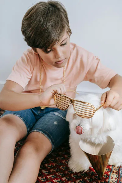 Accesorios para Perros Pequeños en la Tienda del Bichón Maltés