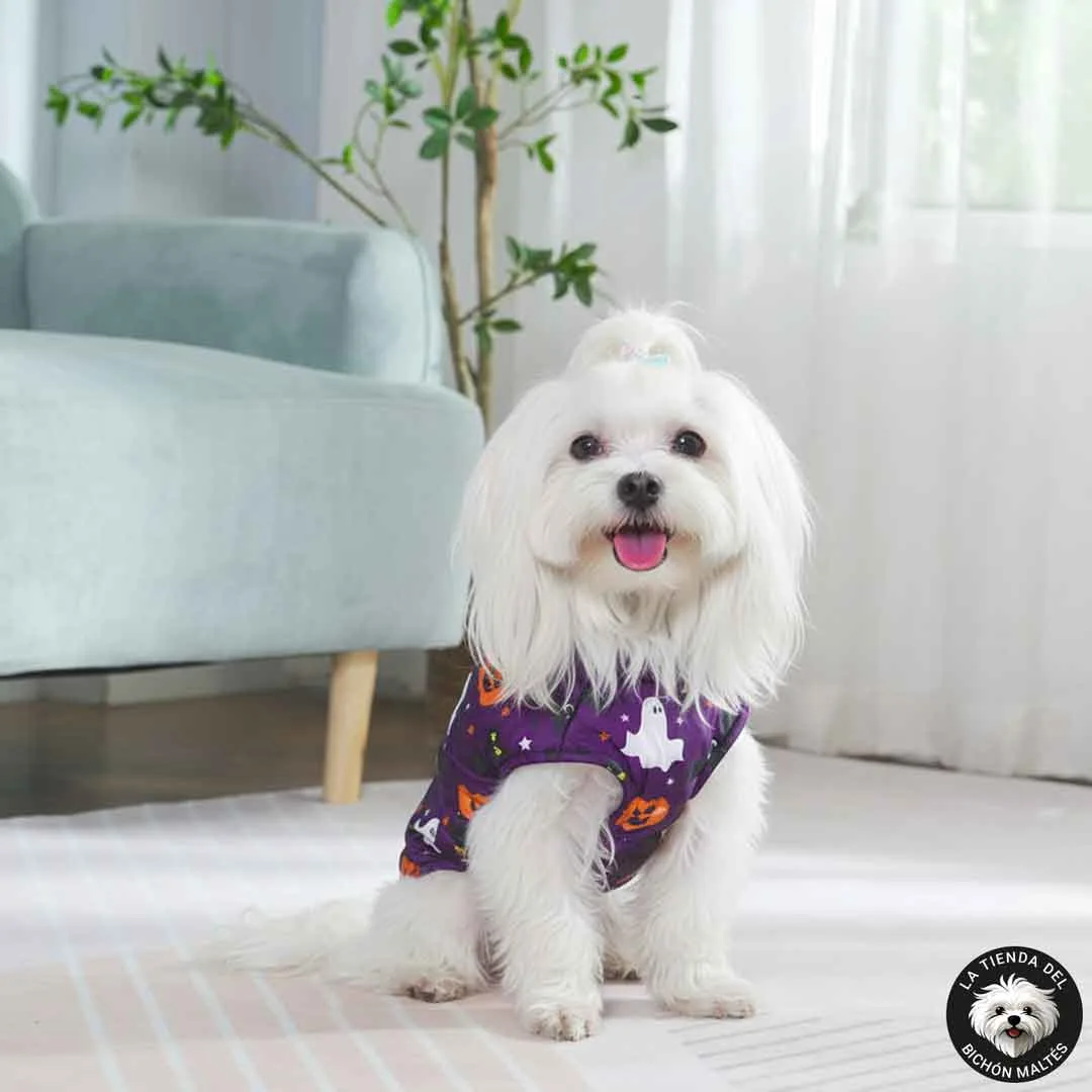 Chubasquero de Halloween para Mascotas con Arnés