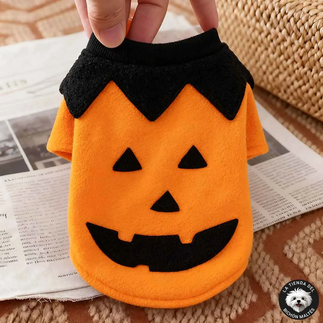 Disfraz de Calabaza para Perros Halloween