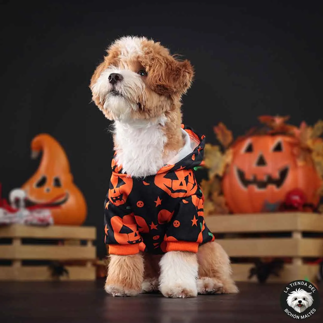 Sudadera de Halloween para Perros
