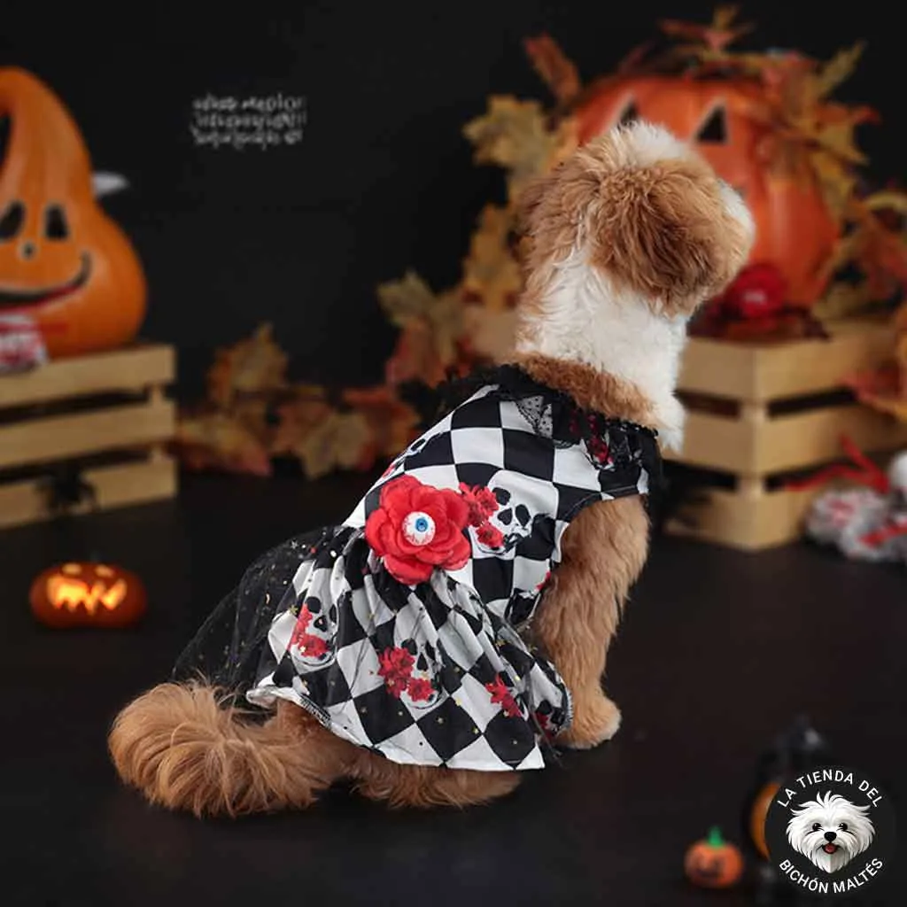 Vestido para Perrita ideal para Halloween y Día de los Muertos