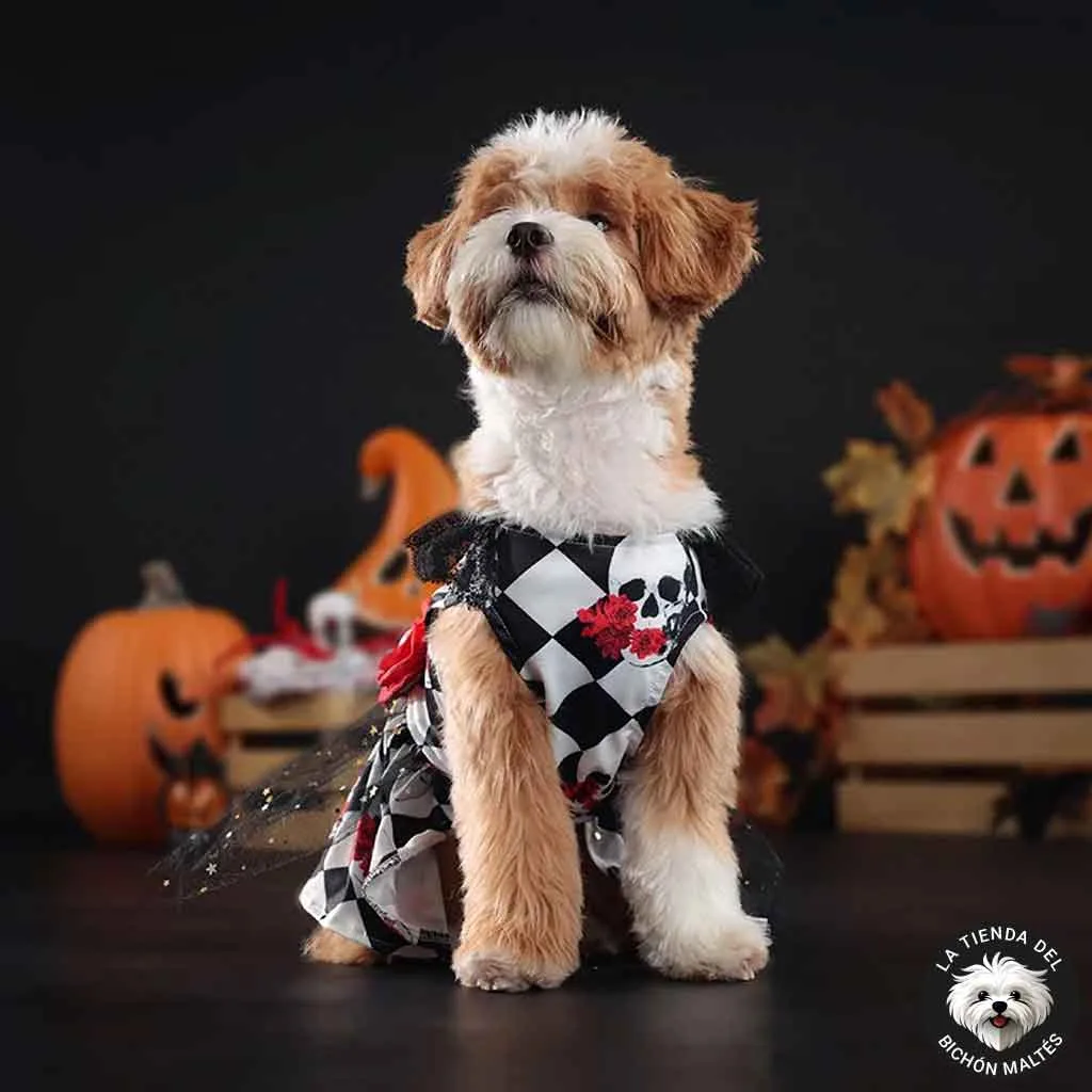 Vestido para Perrita ideal para Halloween y Día de los Muertos