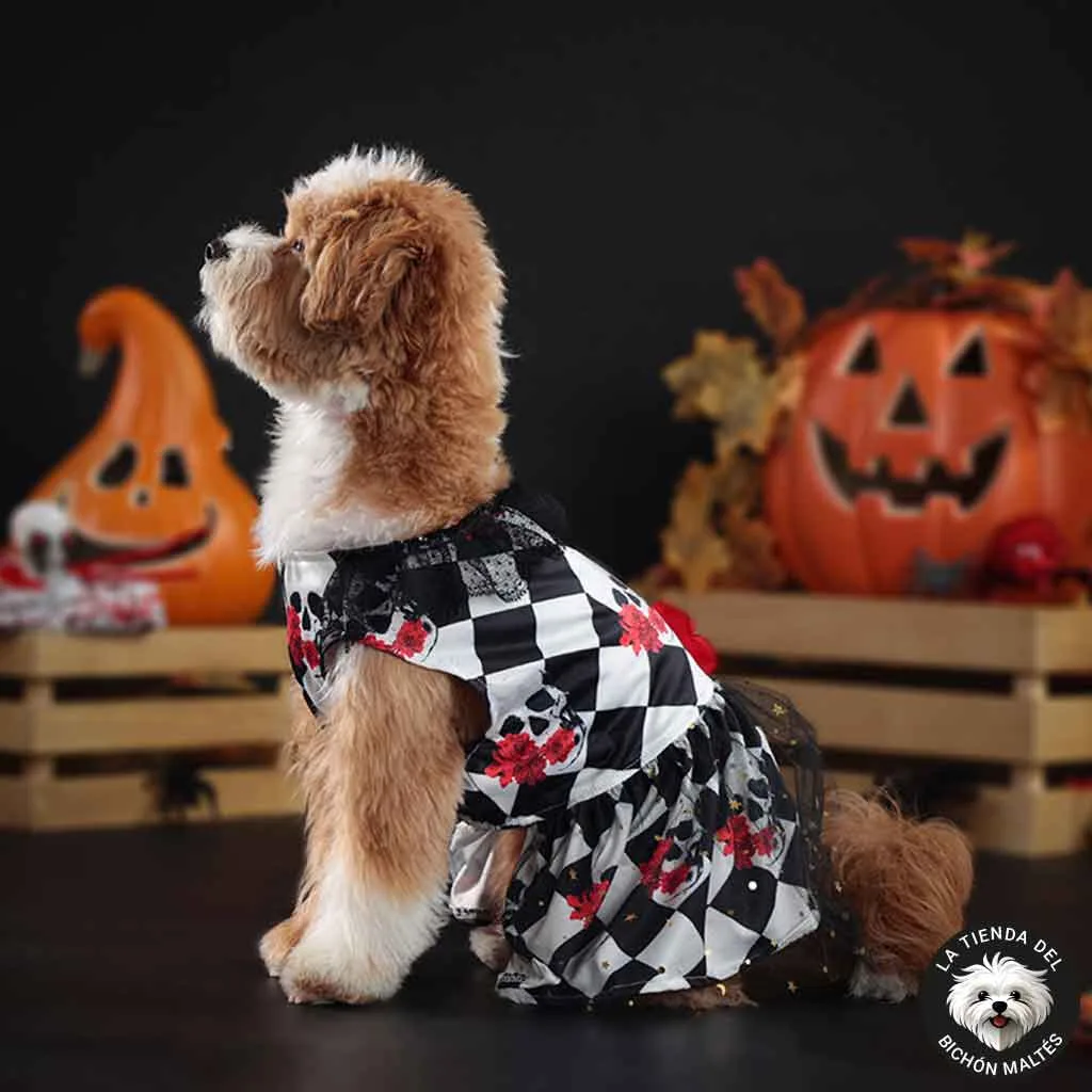 Vestido para Perrita ideal para Halloween y Día de los Muertos