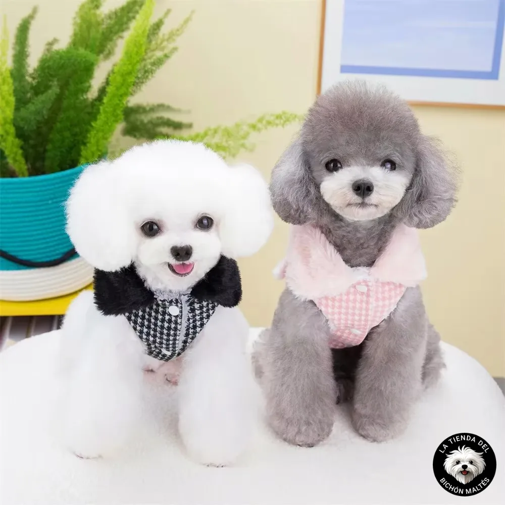 Abrigo estilo Chanel para perro pequeño - Varios Colores