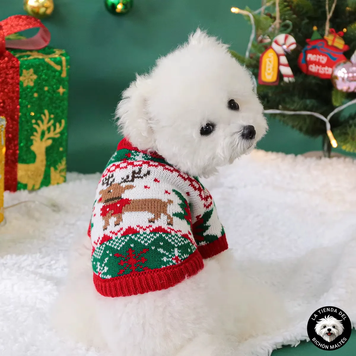 Jersey Navideño Tricolor para Bichón Maltés (Reno y Copos de Nieve)