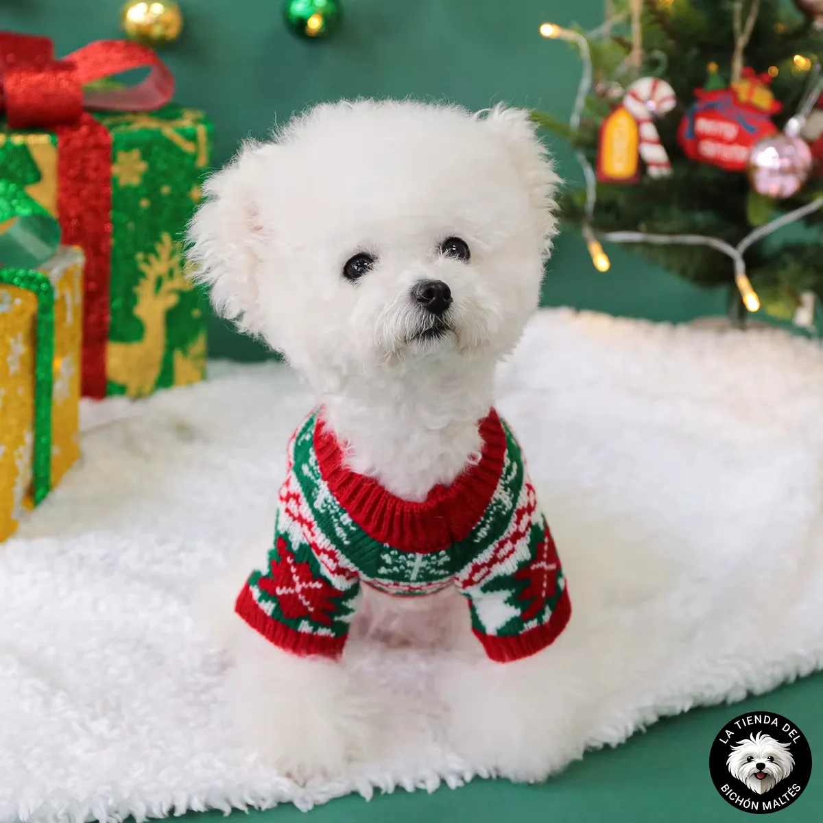 Jersey Navideño Tricolor para Bichón Maltés (Reno y Copos de Nieve)