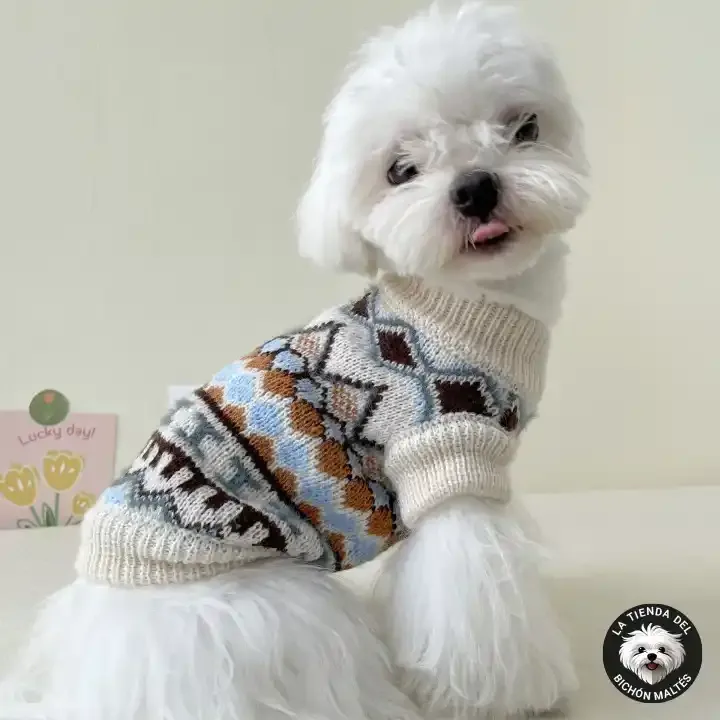 Jersey de Punto estilo geométrico vintage para perros pequeños - crema