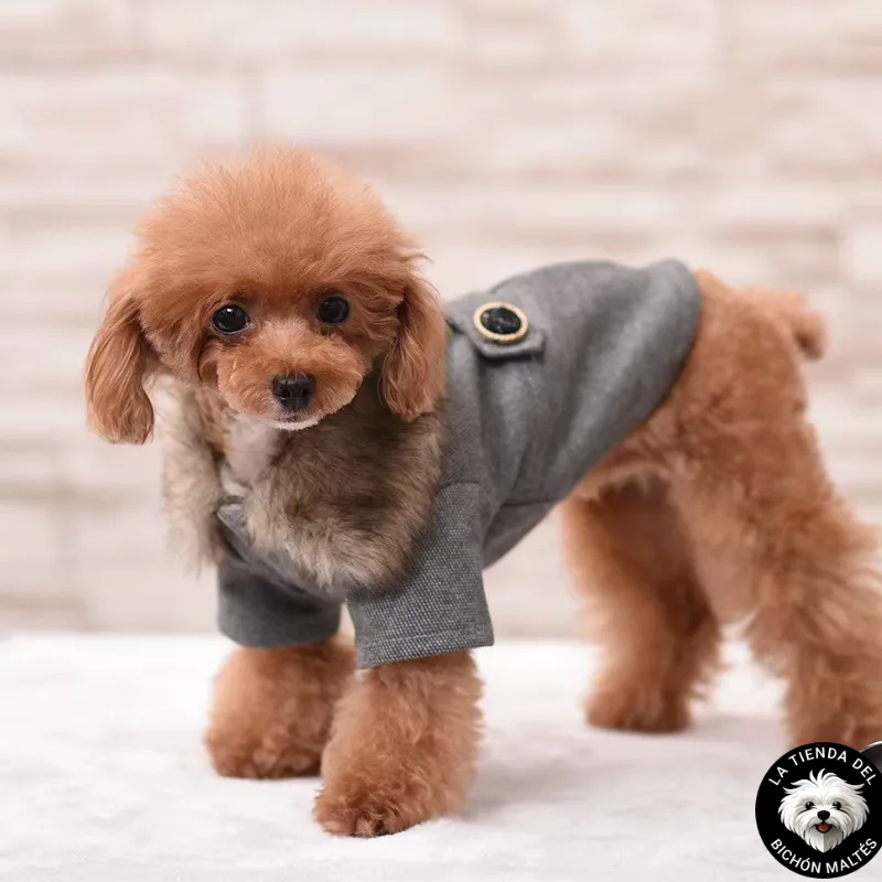 Abrigo Estilo Británico para Perro Pequeño - Varios Colores